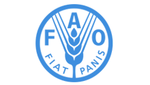 4 FAO