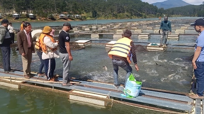 KẾT QUẢ BƯỚC ĐẦU TỪ MÔ HÌNH NUÔI CÁ TẦM THƯƠNG PHẨM TRONG LỒNG TRÊN HỒ CHỨA TẠI LÂM ĐỒNG