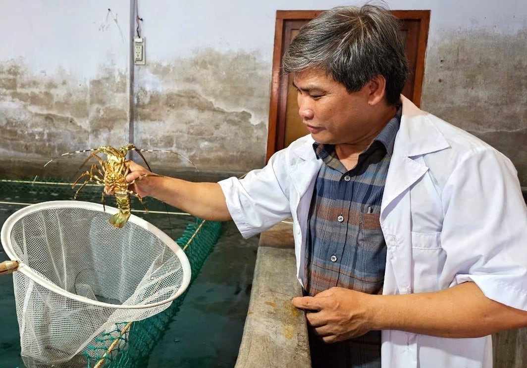 Khoa học công nghệ - Đổi mới sáng tạo - Chuyển đổi số: Động lực phát triển đột phá ngành thủy sản