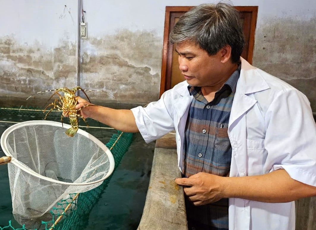 Dịch vụ phân tích - Viện Nghiên cứu nuôi trồng thuỷ sản III