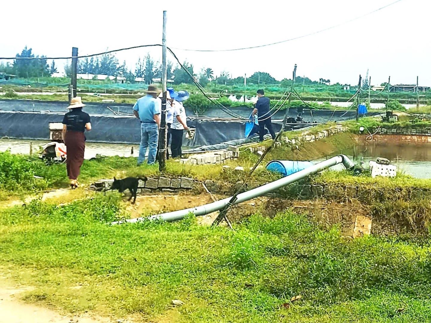 Ban Quản lý dự án đầu tư xây dựng, Bộ NN & MT thăm và làm việc với Viện Nghiên cứu Nuôi trồng thuỷ sản III 