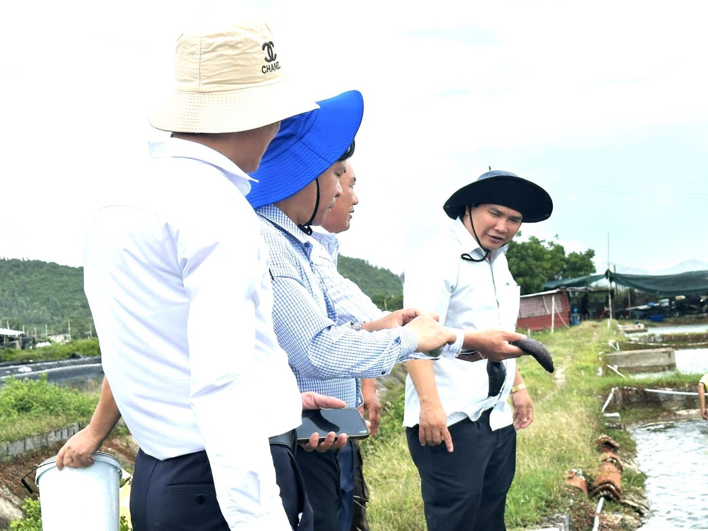 Ban Quản lý dự án đầu tư xây dựng, Bộ NN & MT thăm và làm việc với Viện Nghiên cứu Nuôi trồng thuỷ sản III 