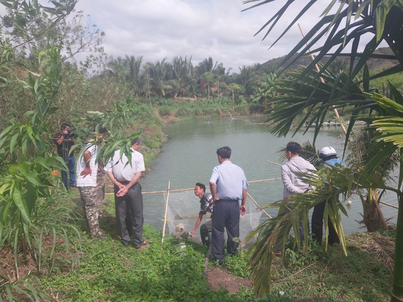 NGHIỆM THU NHIỆM VỤ “XÂY DỰNG MÔ HÌNH NUÔI THỬ NGHIỆM TÔM CÀNG XANH (Macrobranchium rosenbergii) TRONG AO ĐẤT TRÊN ĐỊA BÀN HUYỆN CƯ JÚT, TỈNH ĐẮK NÔNG”