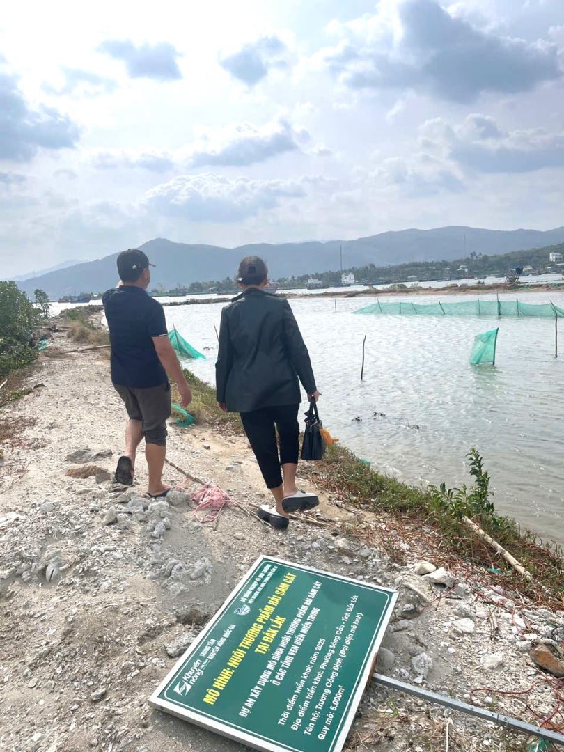 Kiểm tra, đánh giá thiệt hại của các mô hình thuộc đề tài/dự án Khoa học và Công nghệ triển khai tại tỉnh Đắk Lắk và Khánh Hoà bị ảnh hưởng do đợt lũ lụt