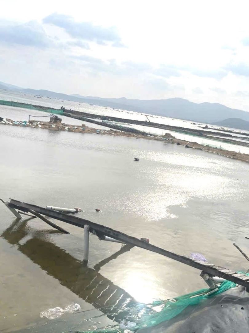 Kiểm tra, đánh giá thiệt hại của các mô hình thuộc đề tài/dự án Khoa học và Công nghệ triển khai tại tỉnh Đắk Lắk và Khánh Hoà bị ảnh hưởng do đợt lũ lụt