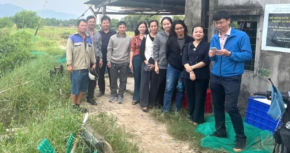 Kiểm tra, đánh giá thiệt hại của các mô hình thuộc đề tài/dự án Khoa học và Công nghệ triển khai tại tỉnh Đắk Lắk và Khánh Hoà bị ảnh hưởng do đợt lũ lụt