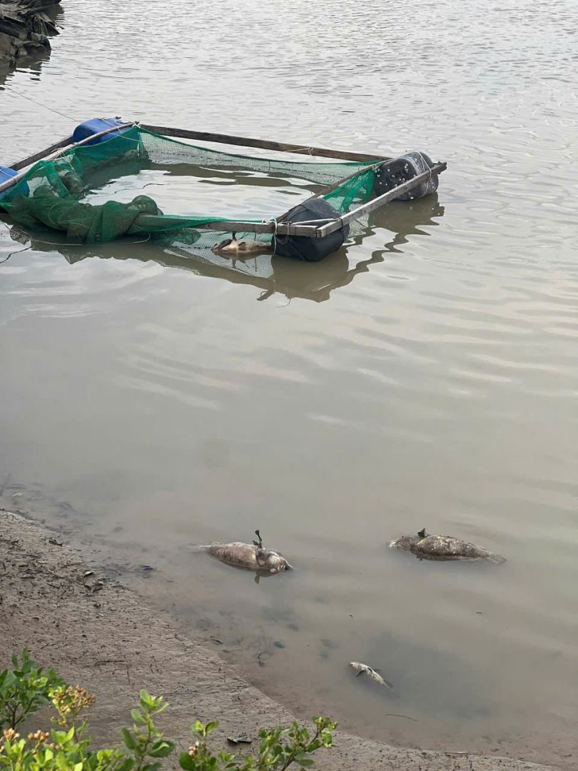 Kiểm tra, đánh giá thiệt hại của các mô hình thuộc đề tài/dự án Khoa học và Công nghệ triển khai tại tỉnh Đắk Lắk và Khánh Hoà bị ảnh hưởng do đợt lũ lụt