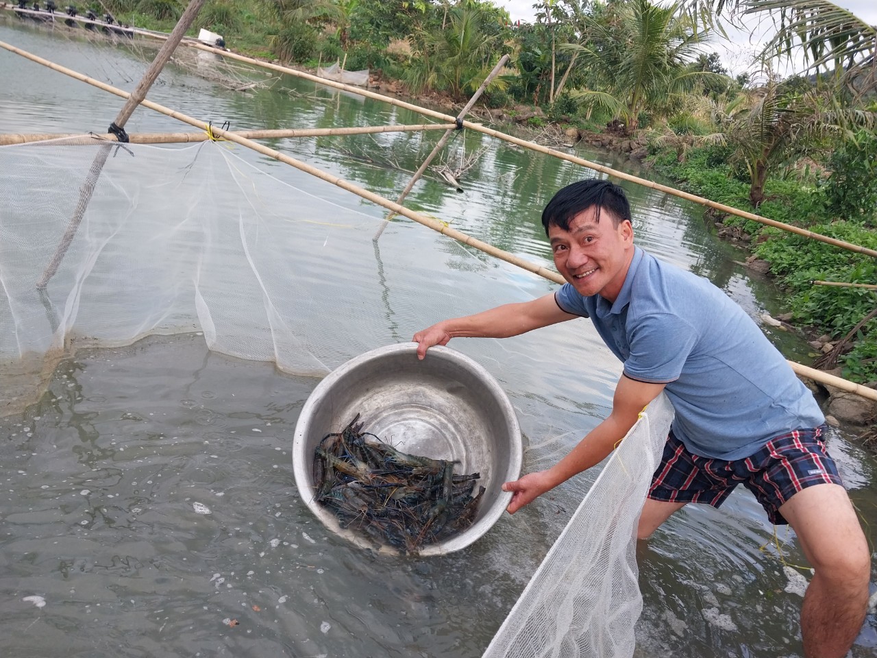 NGHIỆM THU NHIỆM VỤ “XÂY DỰNG MÔ HÌNH NUÔI THỬ NGHIỆM TÔM CÀNG XANH (Macrobranchium rosenbergii) TRONG AO ĐẤT TRÊN ĐỊA BÀN HUYỆN CƯ JÚT, TỈNH ĐẮK NÔNG”